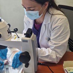 peiramatiko ergastirio_1