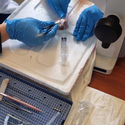 peiramatiko ergastirio_2